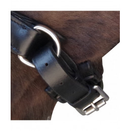 BRIDON CANTER EURO PULL BACK