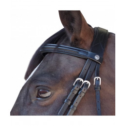 BRIDON CANTER EURO PULL BACK