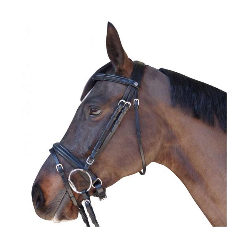 BRIDON CANTER EURO PULL BACK