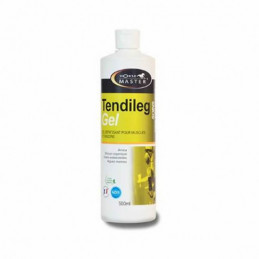 TENDILEG GEL