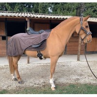 Couvre-reins & marcheurs