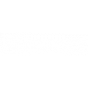 FLEX-ON