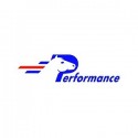 PERFORMANCE
