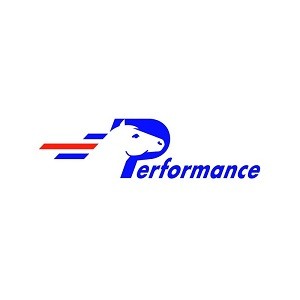 PERFORMANCE
