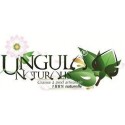 UNGULA